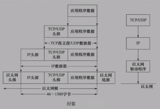 4 Linux网络编程2 常见协议及其格式,协议封装,字节序 - 图1