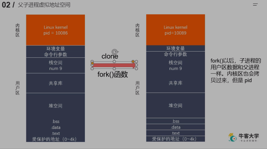 2 Linux多进程开发1 介绍,相关命令,父子进程虚拟地址空间 - 图7