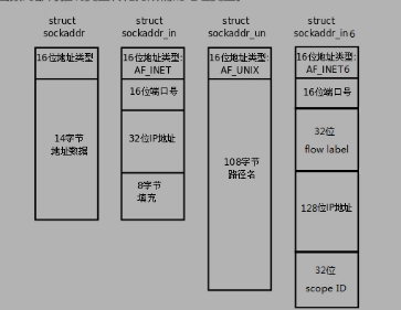 4 Linux网络编程3 字节序转换函数,IP地址转换函数,UDP和TCP的区别 - 图3