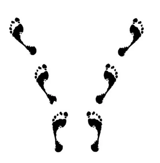 健身三大项之硬拉 - 图1