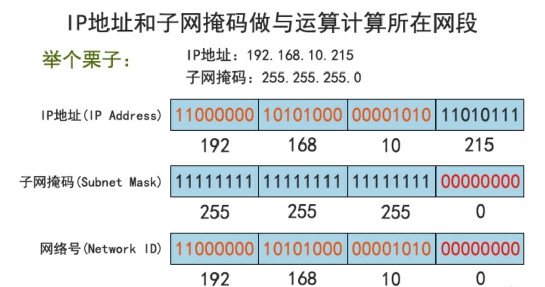 计网 - 图20