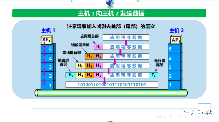 划重点计算机网络知识点总结 - 图5