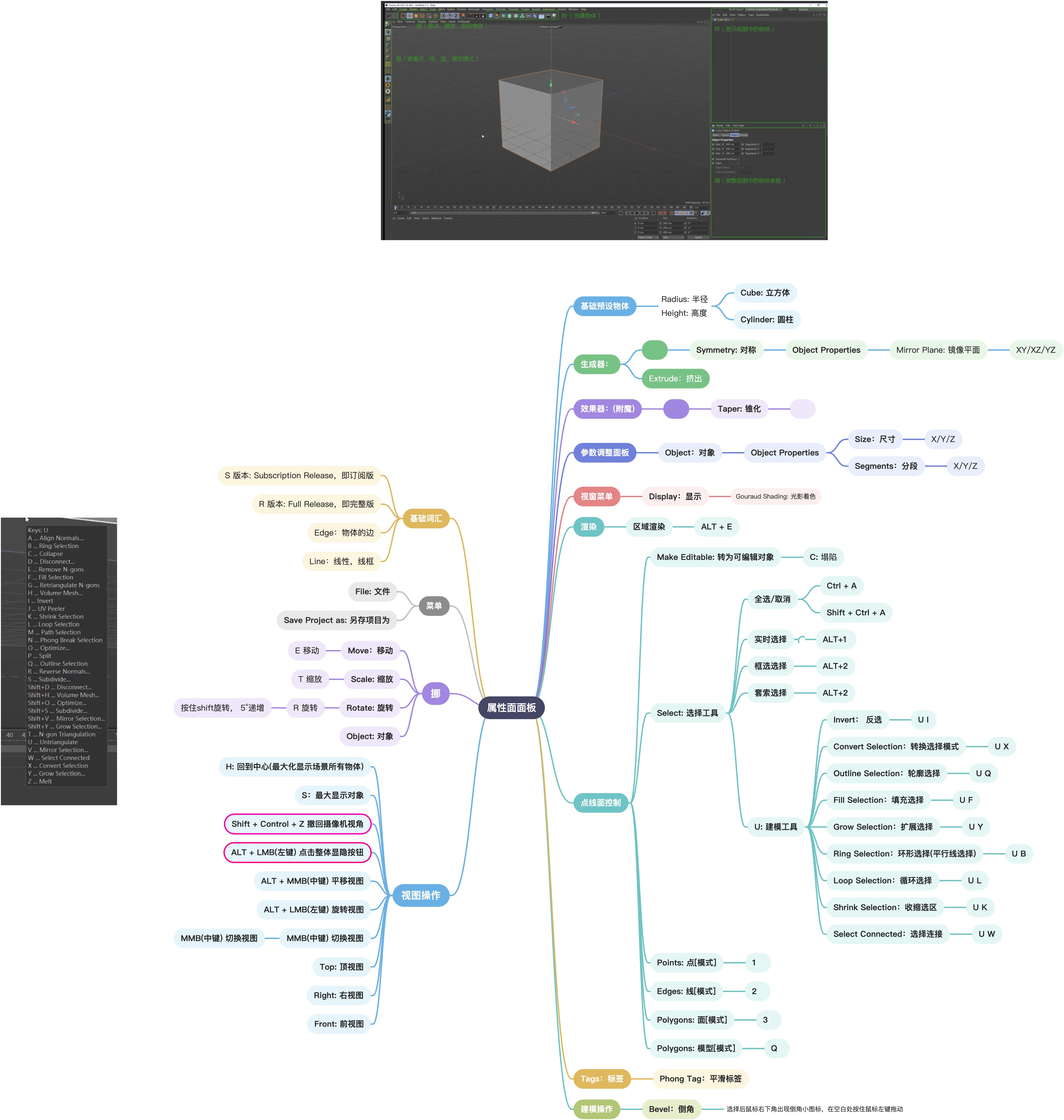 Momentor C4D课程 - 图2
