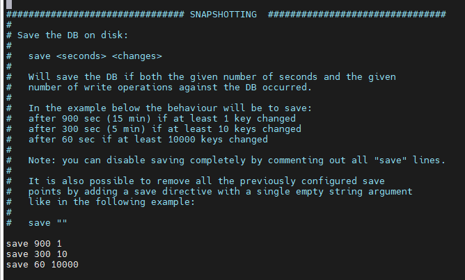 Redis 持久化 - 图2