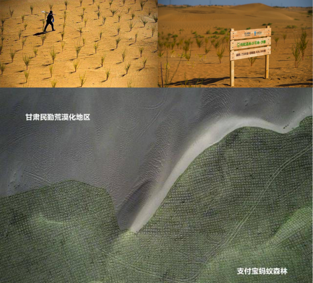 阿里 | 可持续设计 - 图11