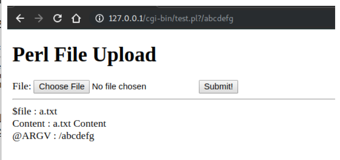 perl网页文件+ARGV上传造成任意文件读取（xctf-i-got-id-200） - 图11