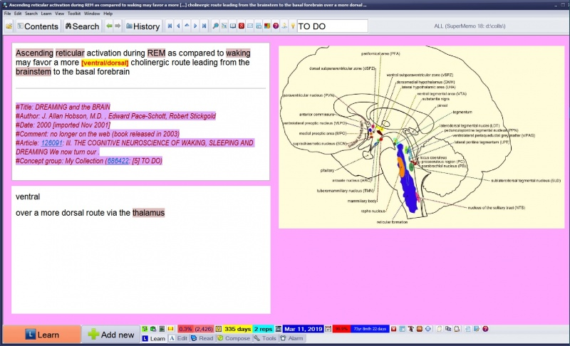 Learnbar（学习栏） - 图1