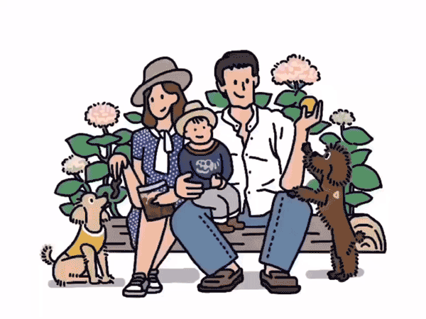 过程视频.gif