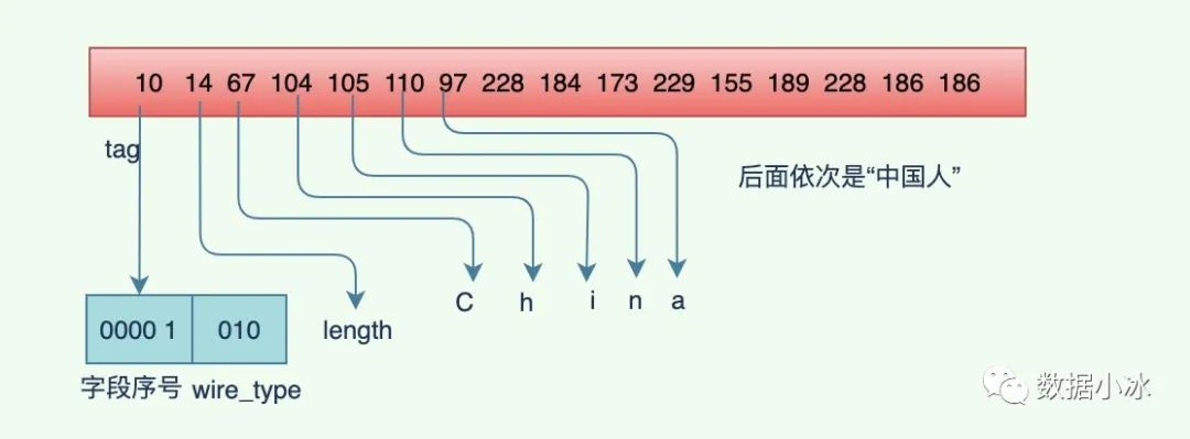 protobuf优缺点及编码原理 - 图10