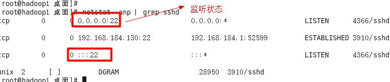 进程管理 *、RPM 与 Yum、搭建 JavaEE 环境 - 图4