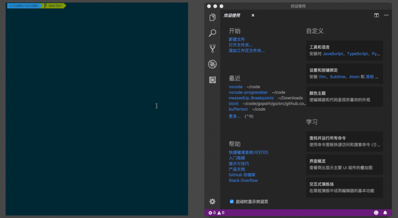 宇宙最强vscode教程（基础篇） - 图5