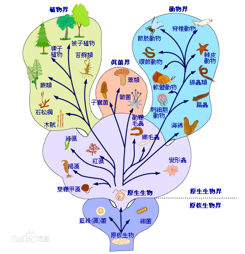 拜托了大脑 - 图9