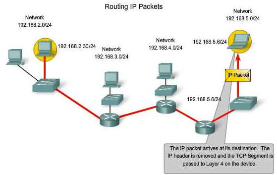 【网际互联】IPv4 编址 - 图4