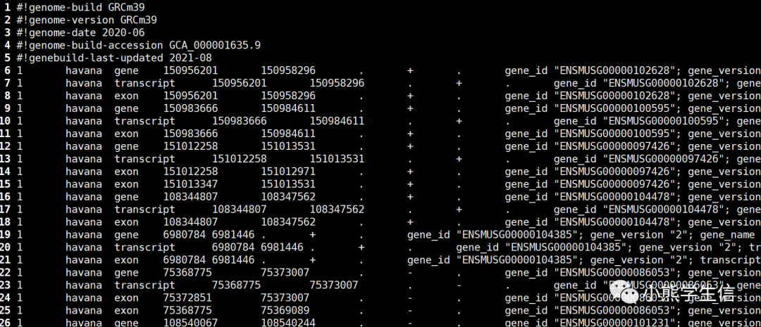 从gtf提取ENSEMBL ID和transcript ID以及SYMBOL对应关系 - 图1
