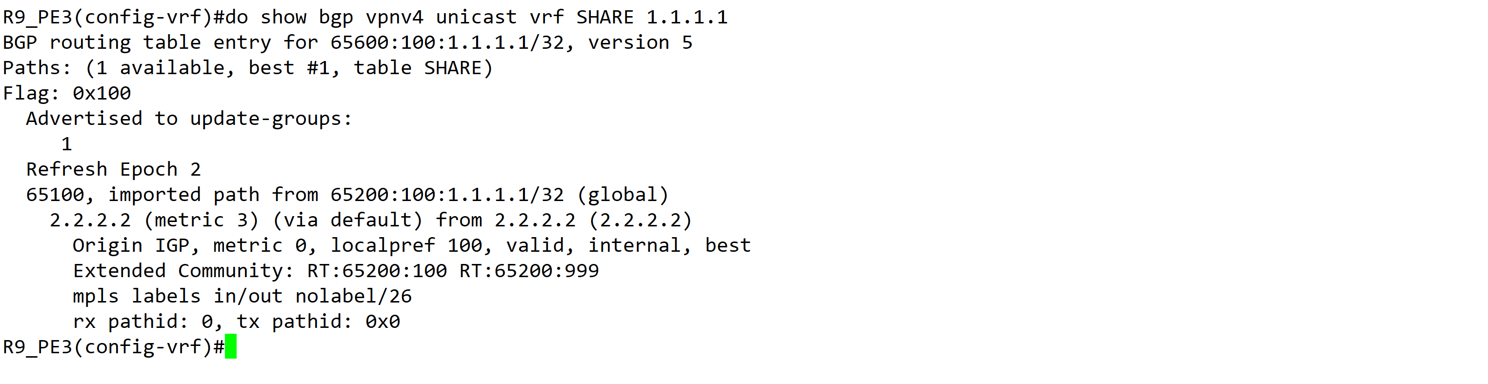 实验01 - MPLS Layer3 VPN - 图9