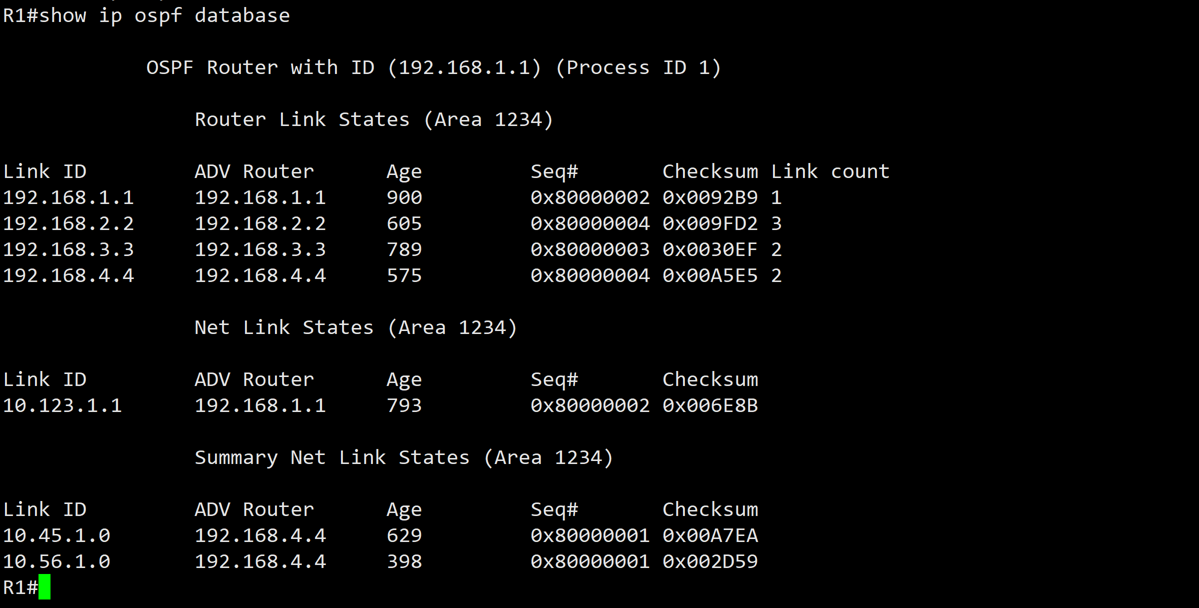 21 LSA Type1 - Router Link - 图4