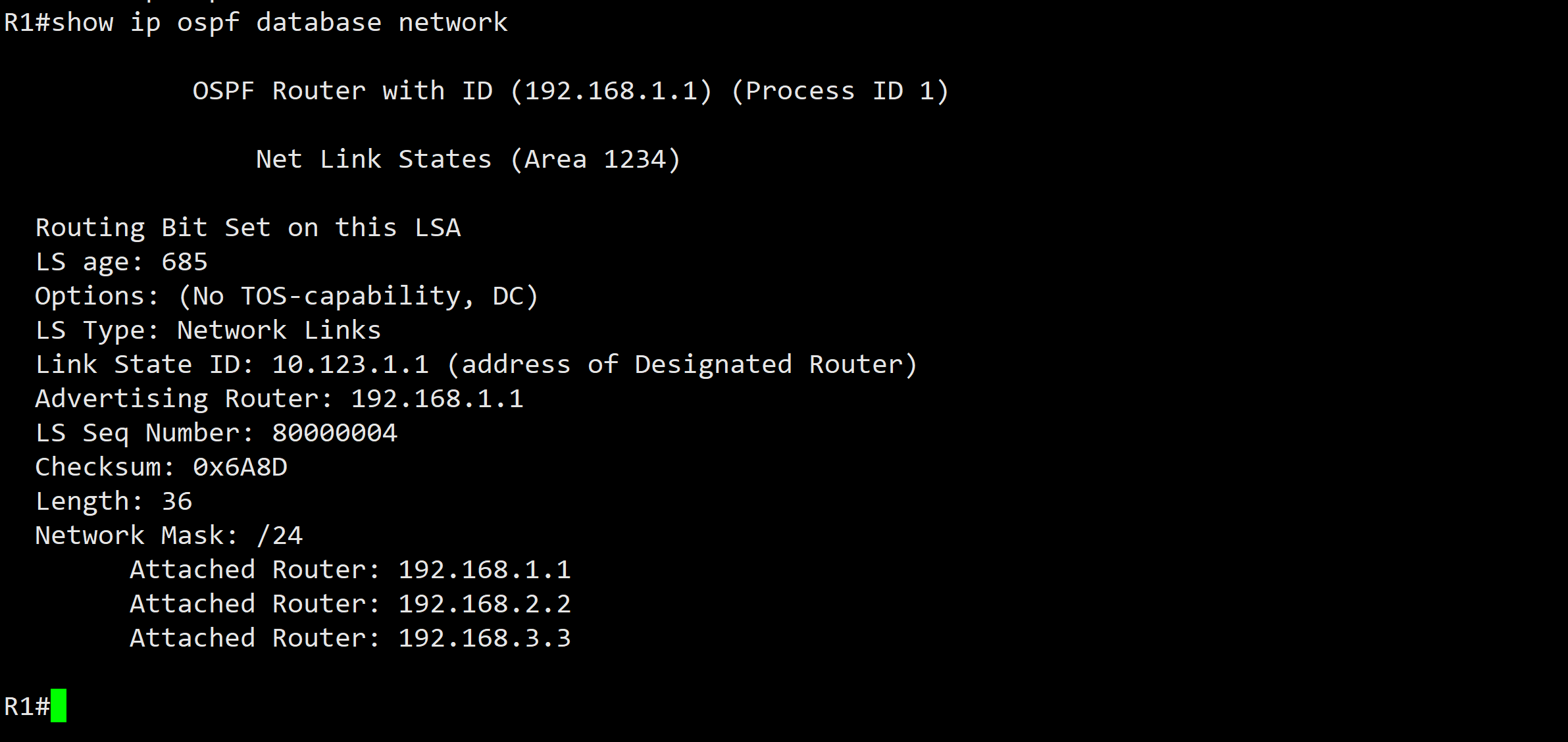 22 LSA Type2 - Network Link - 图3