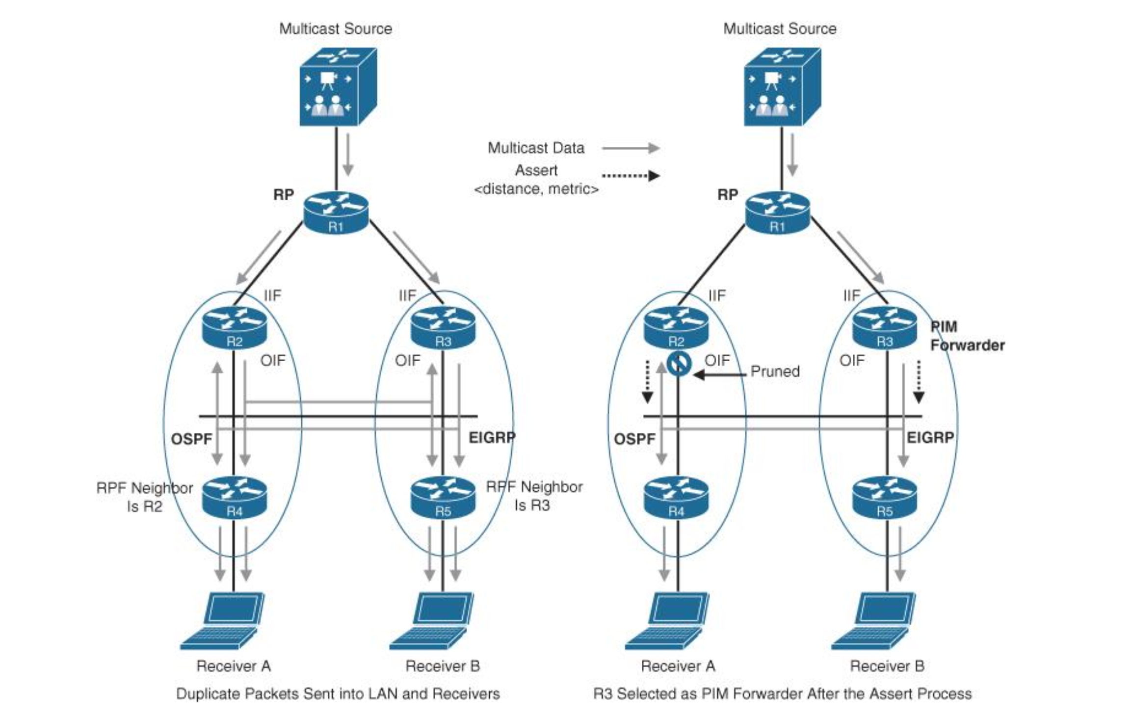 92 Multicast PIM Forwarder and Rendezvous Point - 图1