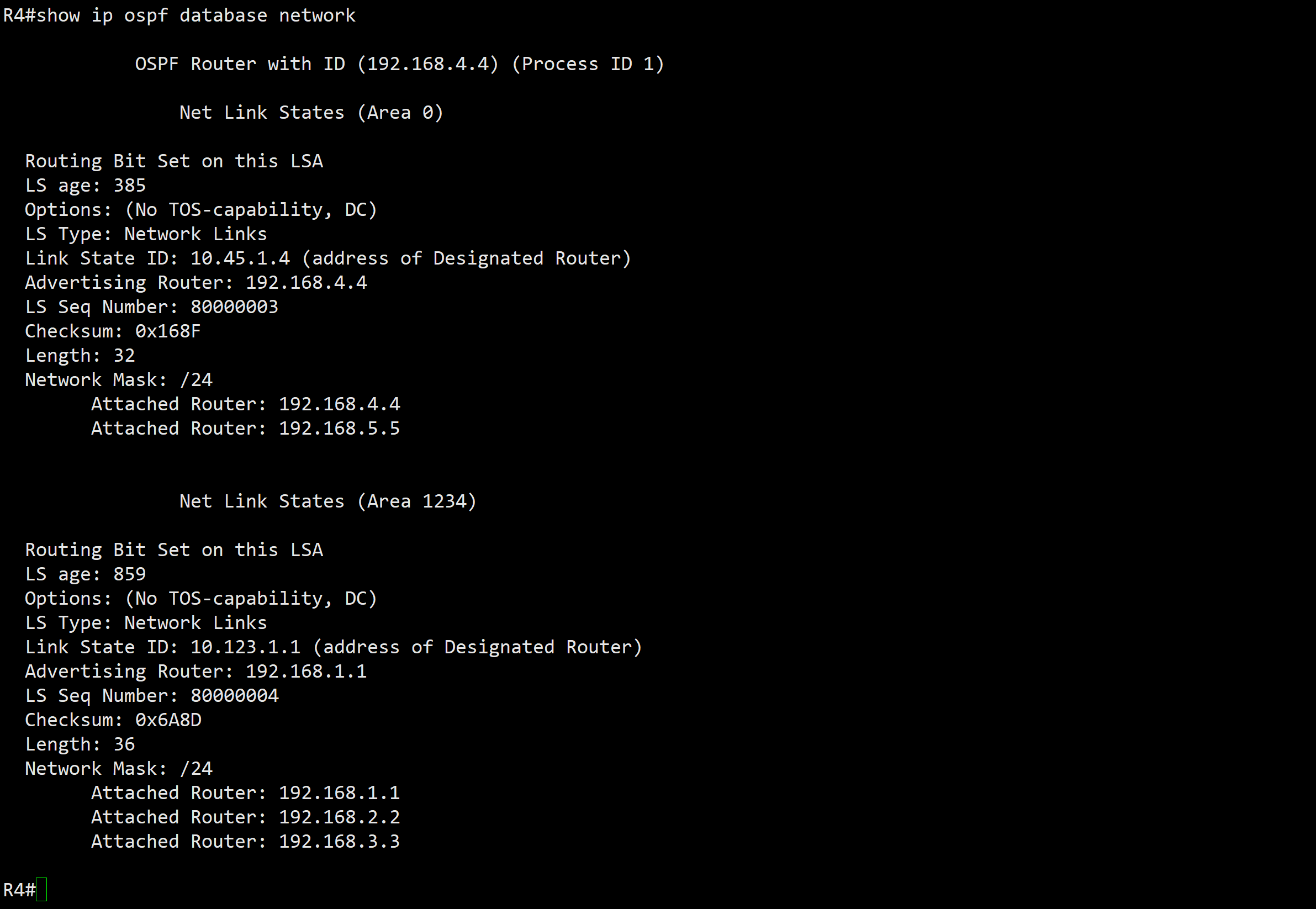 22 LSA Type2 - Network Link - 图4