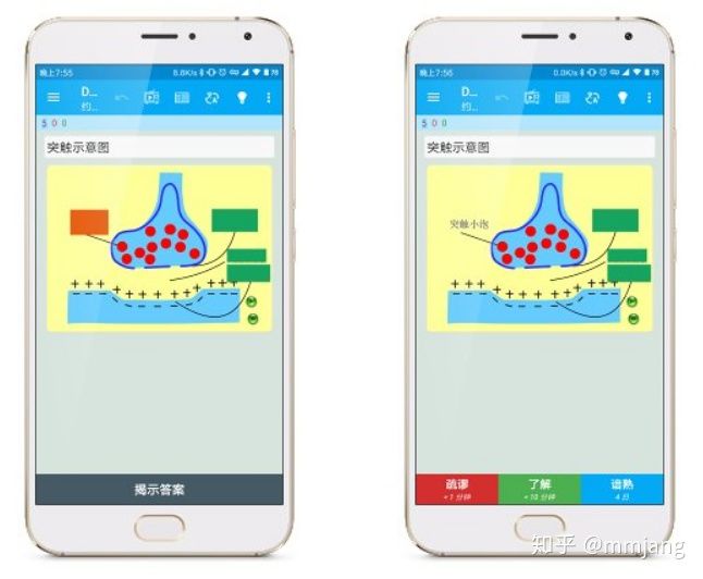 如何把纸质笔记一键装进 Anki - <Anki 涂鸦制卡>发布 - 知乎 - 图8