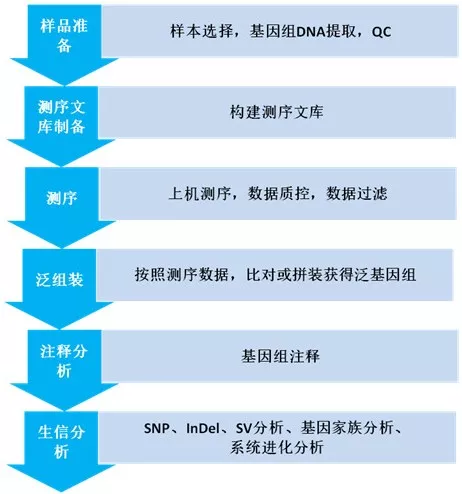 植物泛基因组101（上） - 图2