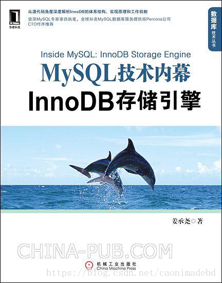 MySQL技术内幕：InnoDB存储引擎(第2版) (数据库技术丛书) - 姜承尧.mobi - 图1