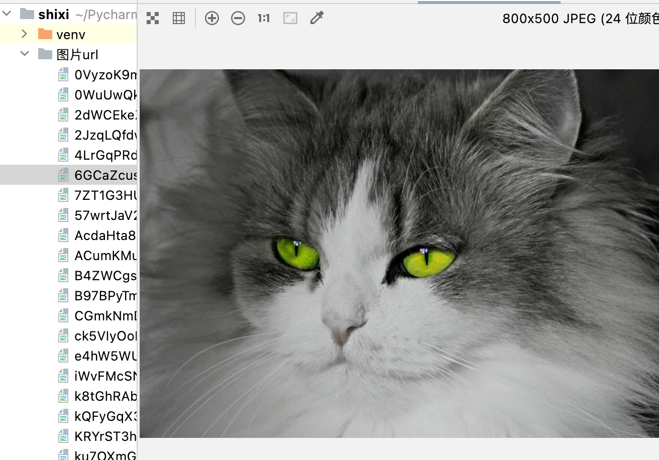 截屏2022-03-08 上午11.10.58.png