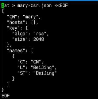 image-20201118095541427.png