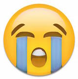 计算机生成了可选文字: