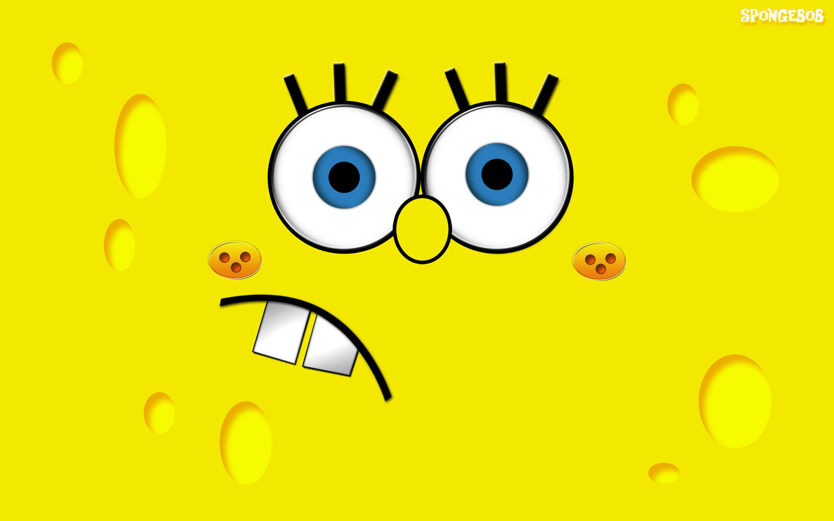 SPONGE808