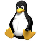 计算机生成了可选文字: