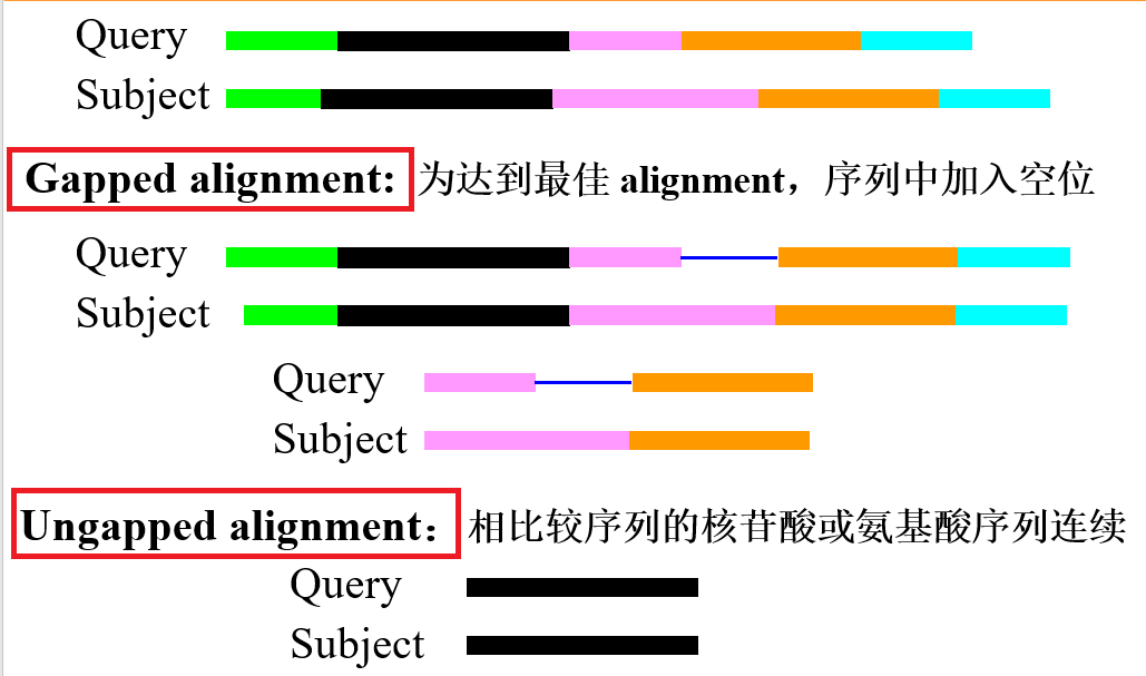 序列比对前须知(1) - 图2