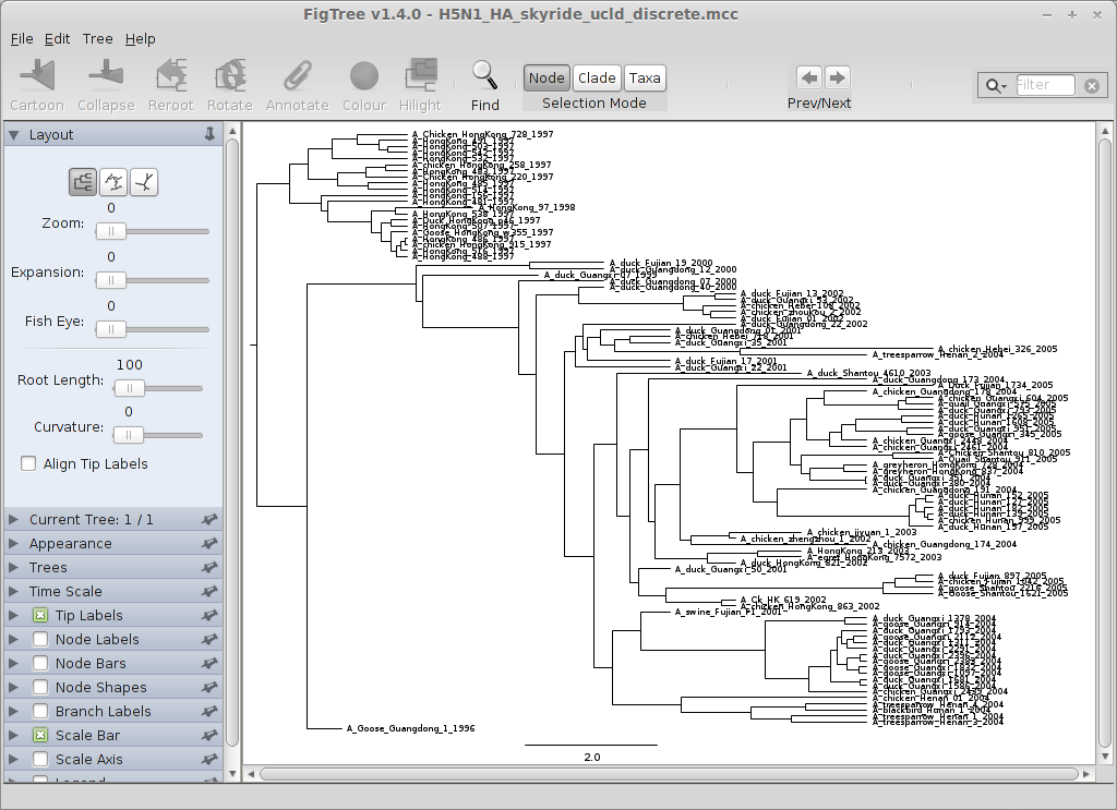 Phylogeography in BEAST - 图21