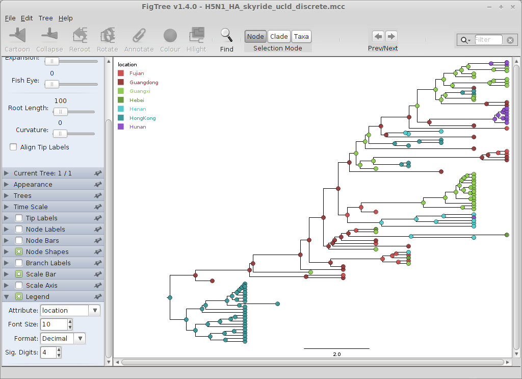 Phylogeography in BEAST - 图23