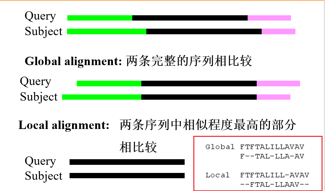 序列比对前须知(1) - 图1