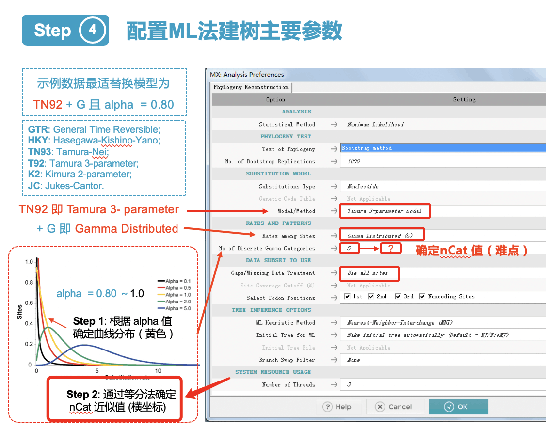 Mrbayes使用要点 - 图2