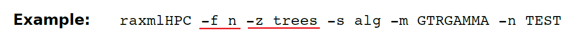 RaxML使用手册 - 图27