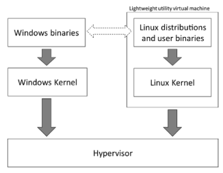 WSL2学习和使用汇集 - 图4