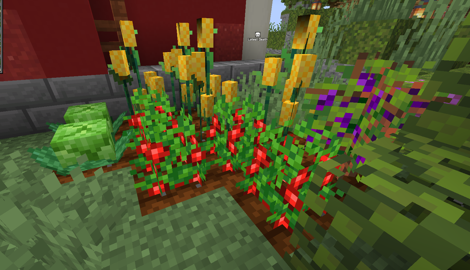 @LM5S%[COBN5V8A_]J(4E_7.png