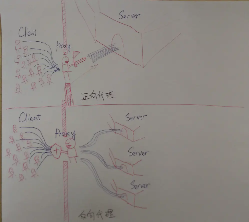 Nginx正向代理与反向代理 - 图2