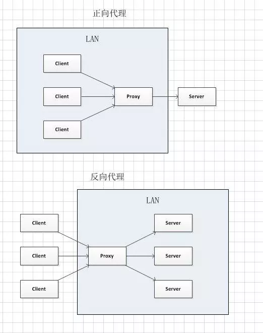 Nginx正向代理与反向代理 - 图1