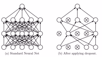 系统学习Pytorch笔记九：正则化与标准化大总结 - 图9