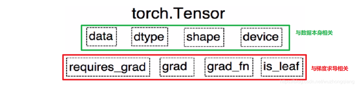 系统学习Pytorch笔记一：Pytorch的数据载体张量与线性回归 - 图3