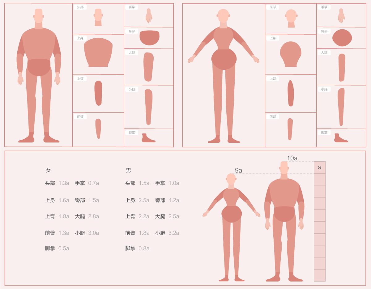 设计师该如何组件灵活的个人插画组件库 - 图3