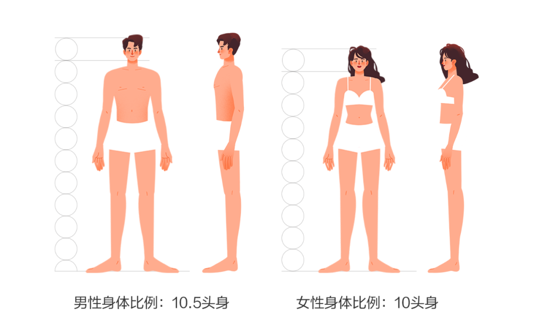 自如插画组件系统2.0 在此揭幕！（上） - 图38