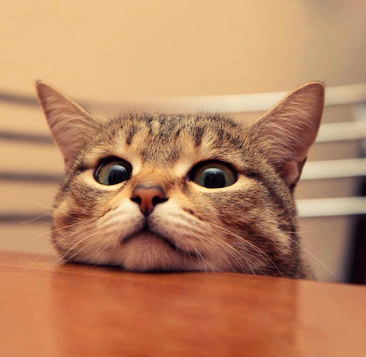 00��ƪ�ʽ���һ�Σ�������һ�����㶮MySQL - 图9