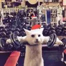 00��ƪ�ʽ���һ�Σ�������һ�����㶮MySQL - 图19