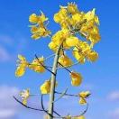 27������������ˣ��ӿ���ô�� - 图9