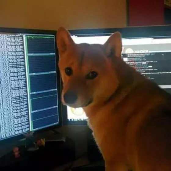 09����ͨ������Ψһ������Ӧ����ôѡ�� - 图23