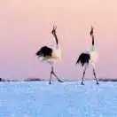 27������������ˣ��ӿ���ô�� - 图10